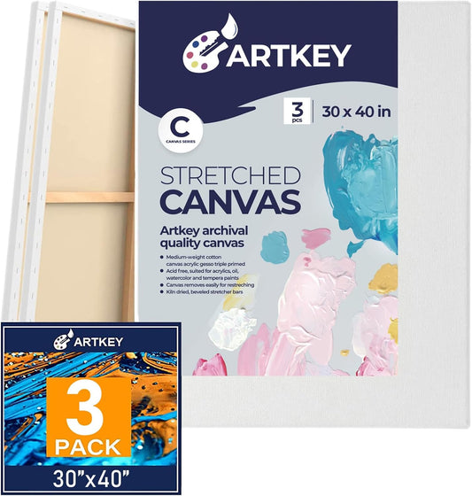 Large Canvas for Painting 30x40 Inch 3-Pack, 12.3 oz Triple Primed 100% Cotton Stretched Canvas, Blank Large Canvases for Oil Paint Acrylics Pouring & Wet Art Media