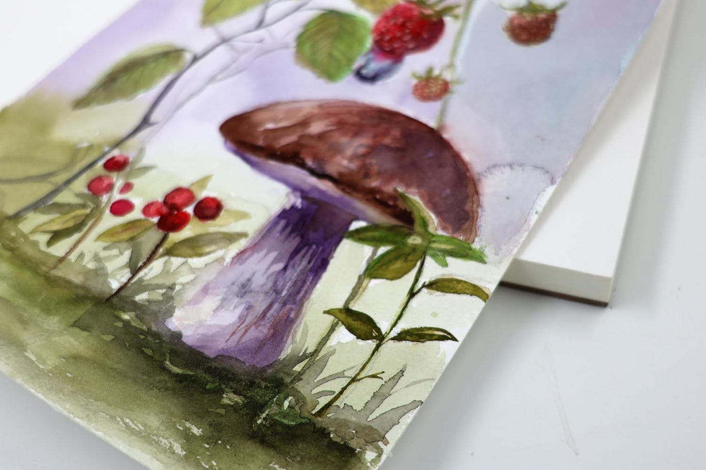 Viburnum Art Cotton Watercolor Paper Pad 160lb/350gsm Cold Press Watercolor Block Watercolor Paper Artist Paper for Adults and Students 20 Sheets 10 x 7 Inches