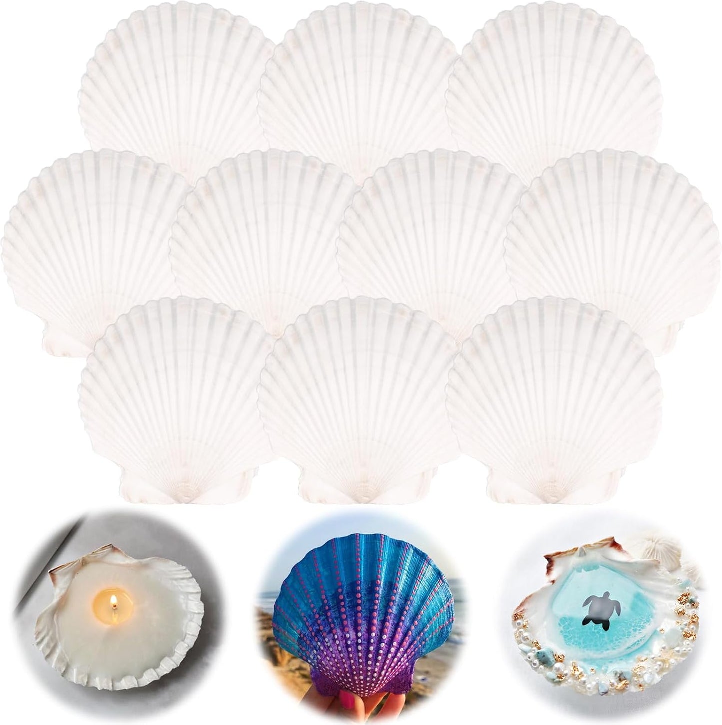 10PCS Scallop Shells for Crafts 4''-5'' Natural White Large Shells Decoration for DIY Craft Painting, Home Decor, Baking and Beach, Wedding Party Decoration