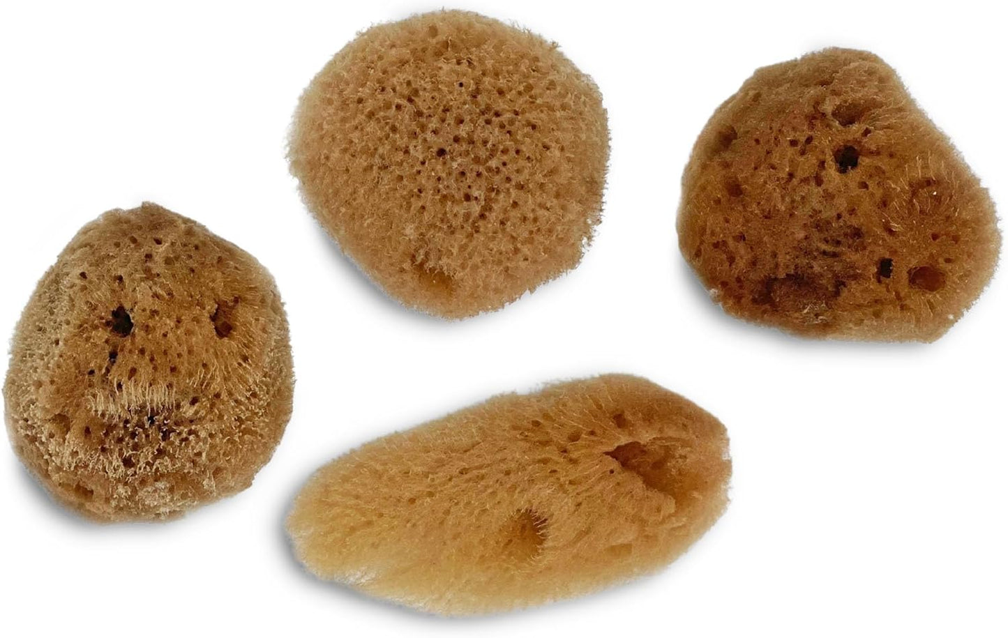 Lullingworth® Artist Natural Sea Sponges: Unbleached 10 Pack 2"-4" Value Set; Creative Art, Faux Painting Effects, Watercolor, Texturing, Marbling, Clay, Pottery, Ceramics, Crafts & Hobbies