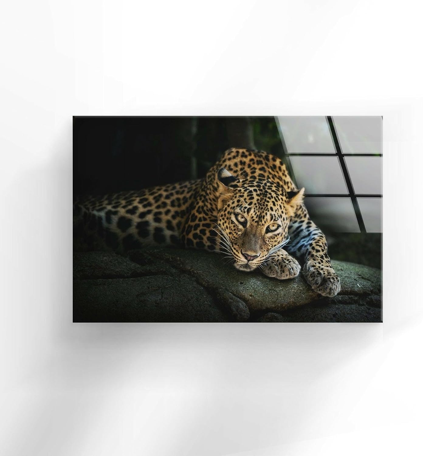 My Photostation.com 30Wx24H'' Fierce Leopard Glass Wall ArtTempered Glass Printing Wall Decor Large Wall Art Wall Hangings