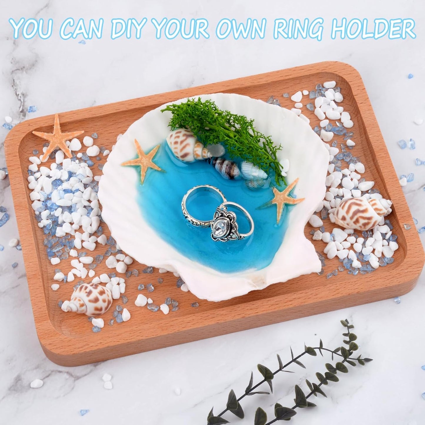 10PCS Scallop Shells for Crafts 4''-5'' Natural White Large Shells Decoration for DIY Craft Painting, Home Decor, Baking and Beach, Wedding Party Decoration