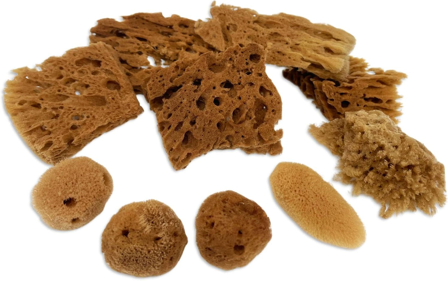 Lullingworth® Artist Natural Sea Sponges: Unbleached 10 Pack 2"-4" Value Set; Creative Art, Faux Painting Effects, Watercolor, Texturing, Marbling, Clay, Pottery, Ceramics, Crafts & Hobbies