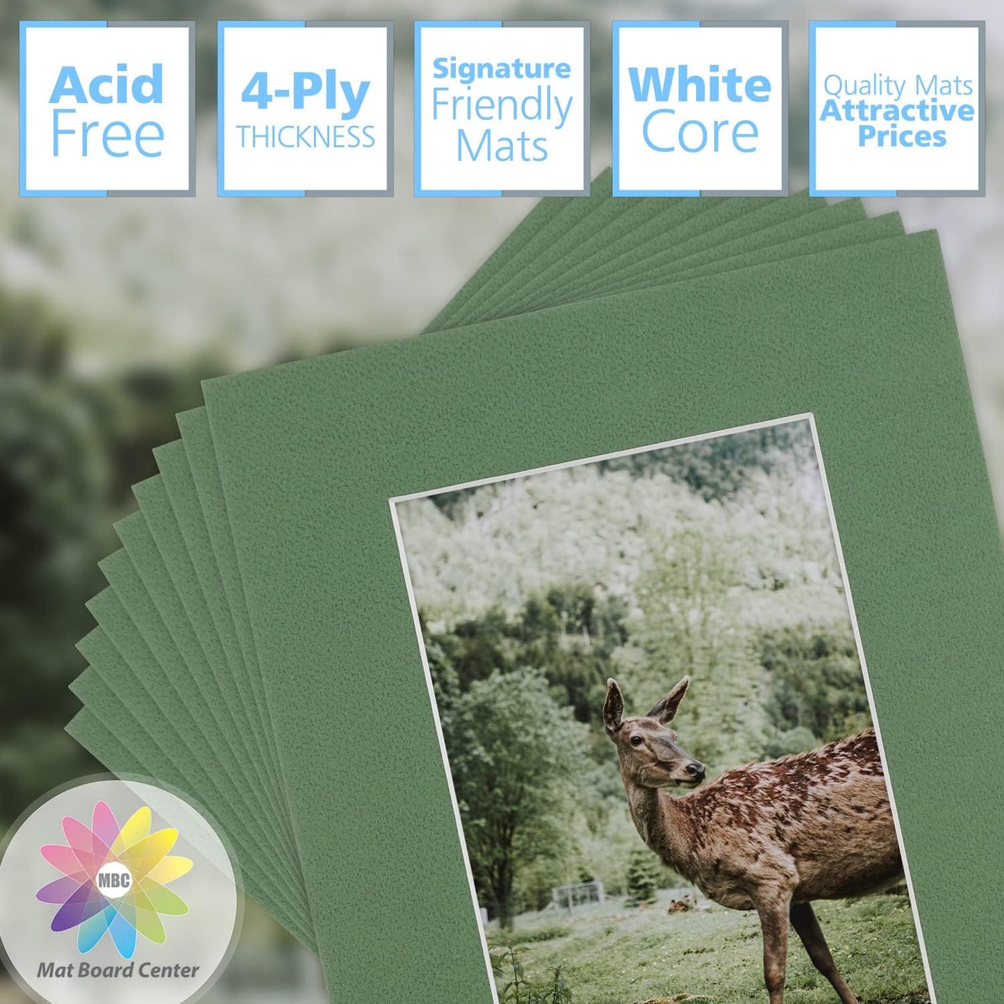 Mat Board Center, Pack of 10, 8x10 for 5x7 Basque Green Color Mats - Bevel Cut, Acid Free, 4-ply Thickness, White Core - for Pictures, Photos, Framing