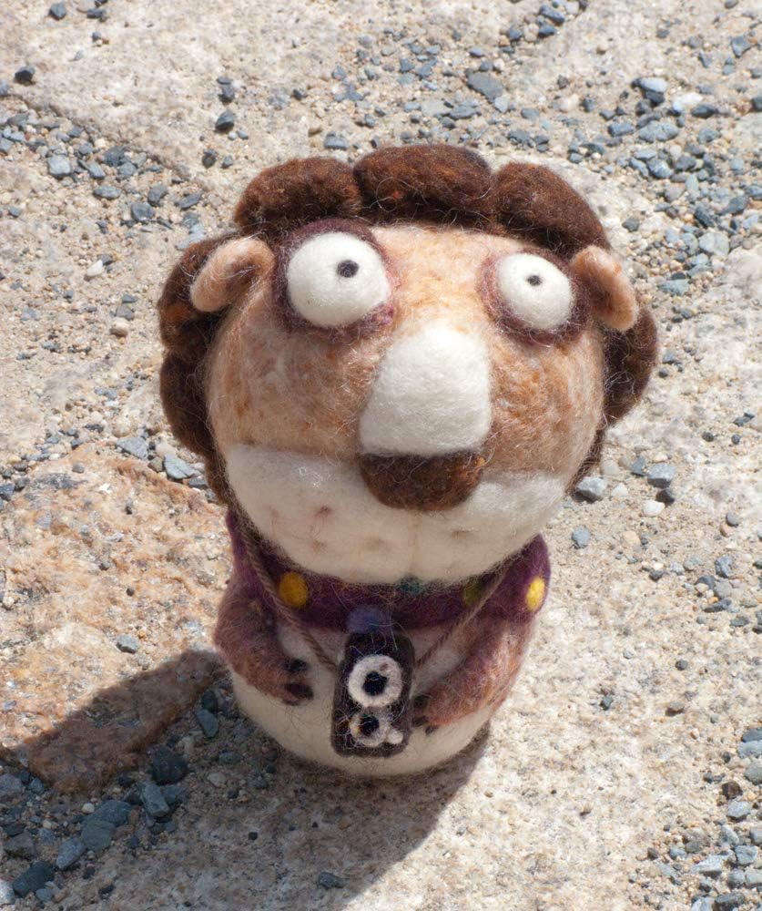 Woolbuddy Needle Felting Wool, Natural Handmade Wool Roving, 6 Vibrant Colors with Instructions (Wool Bag Fall)