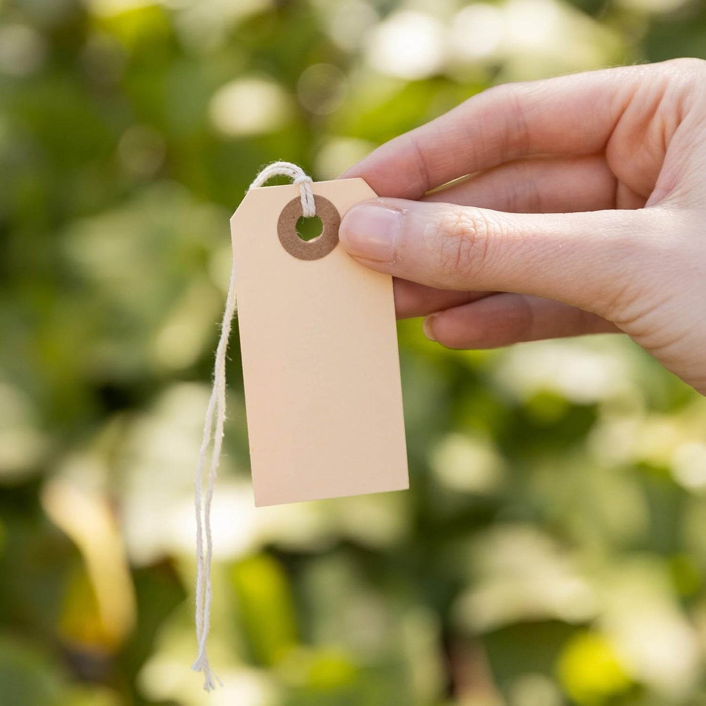 Manila Tags with String Attached - #1, 2 3/4” x 1 3/8” Box of 250 Small Blank 13pt Paper Tags with Hole and Strings Attached, Small Labels with Strings