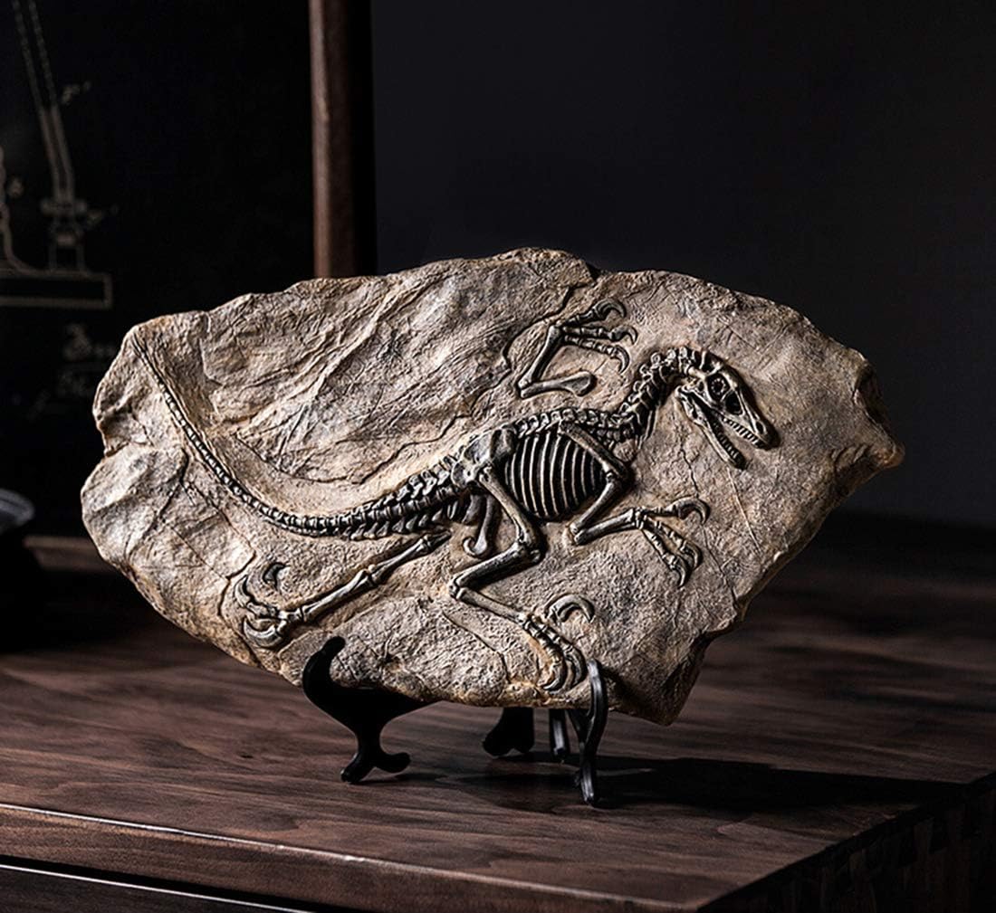 XINDAM Resin Dinosaur Fossil Statue Model Simulated Skeleton Home Office Display Decorative Craft Box Decoration (Style 2)