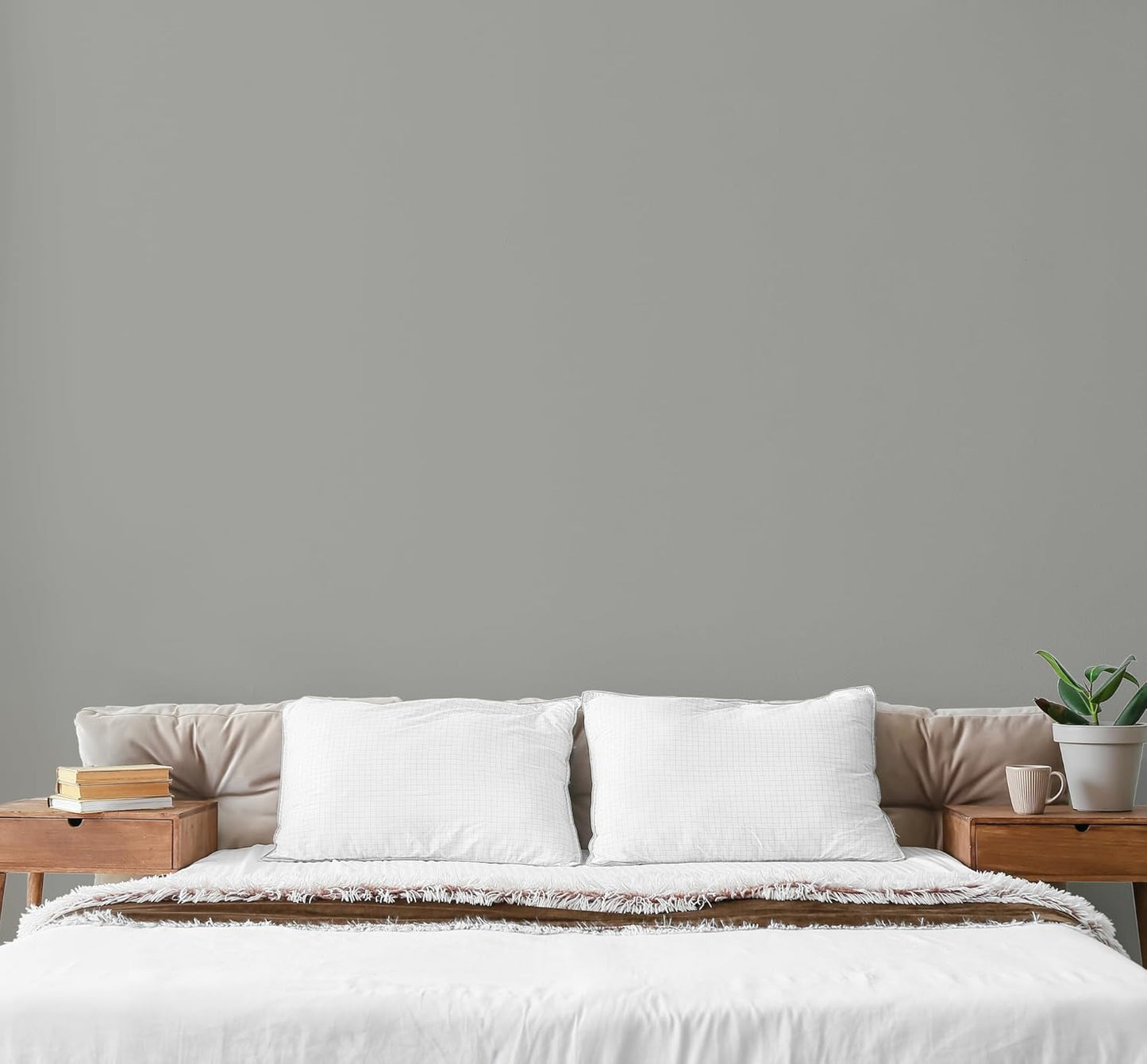 EVOLVE Paint & Primer: Environment-friendly, Low Sheen with One-coat Coverage for Interior & Exterior surfaces (Graphite Gray, 1-Gallon)