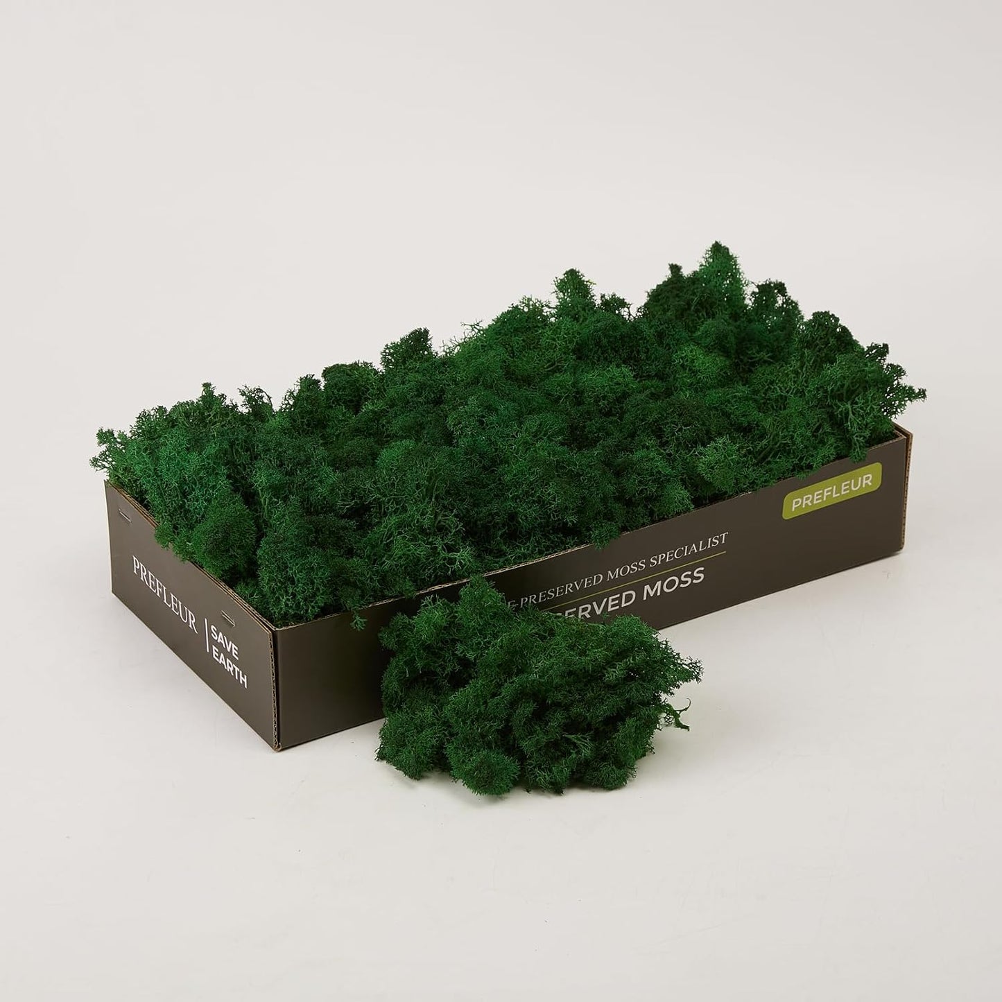 Preserved Reindeer Moss Natural Green DIY Kit Gardenning Art Wall Decor Florist Decor Easter Table Decor Wedding