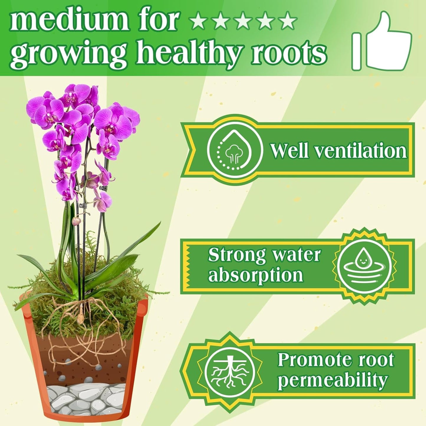 Halatool 1.1LB Green Moss for Potted Plants, 25QT Orchid Moss Potting Mix, Forest Moss for Indoor Plants, Indoor Potting Plant Moss for Repotting Terrariums Garden Reptiles