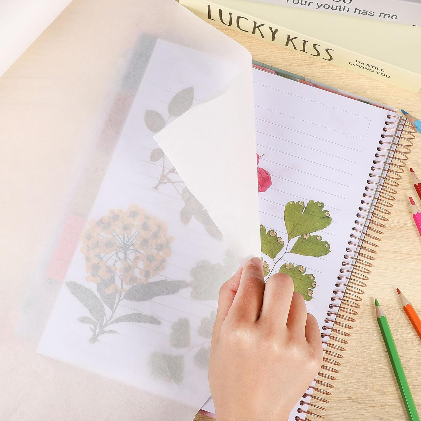 Tracing Paper Roll 24in x 75yd, White Trace Paper Pattern Paper Translucent Tracing Paper for Sewing, Drawing, Sketching, Gift Wrapping