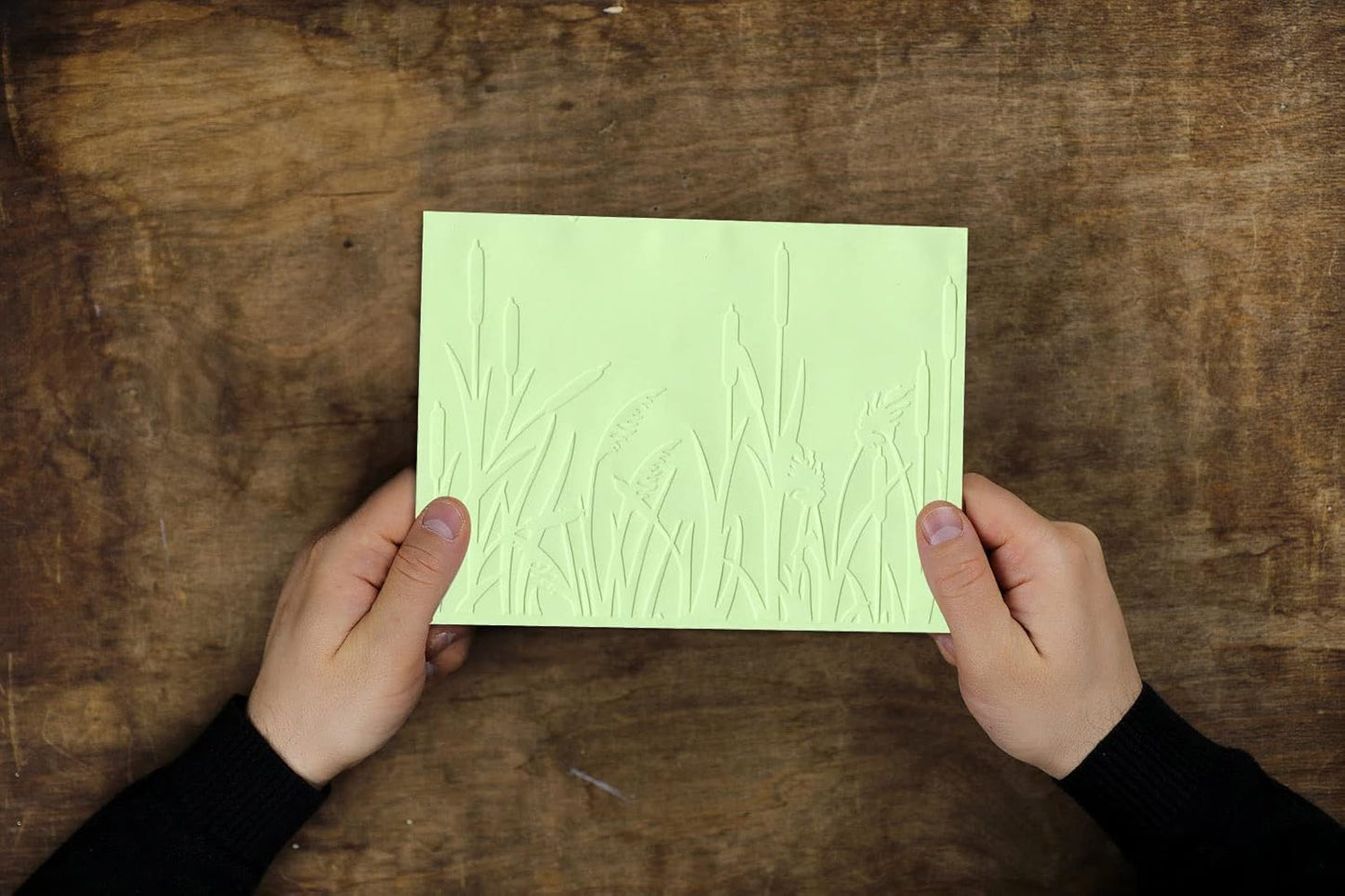 3-D Textured Impressions Reed Grass Embossing Folder, Background Plastic Embossing Folder Template for Card Making Scrapbooking Paper Craft Album Stamps DIY Décor