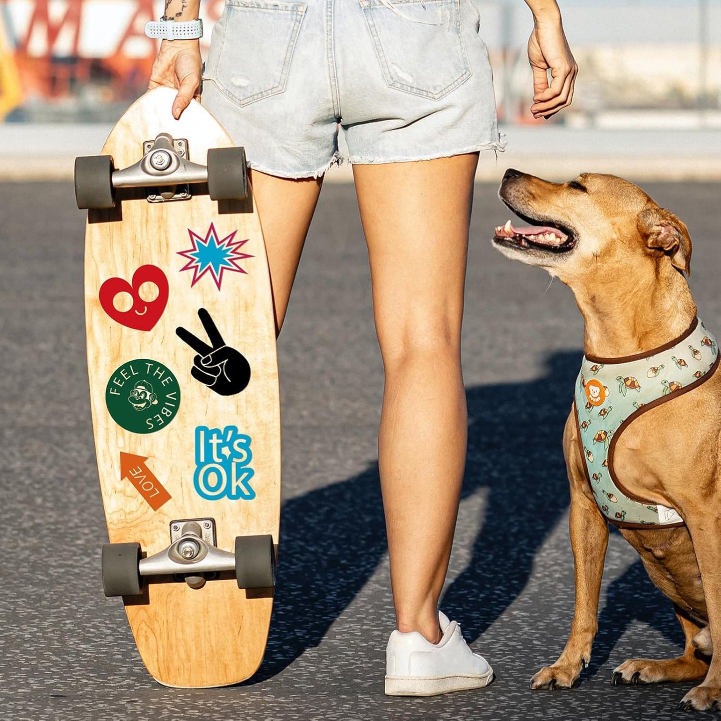 Ant Smart Adhesive Permanent Vinyl Compatible with Cricut Explore and Maker Series Without Cutting Mats, Create DIY Projects, Decals, Stickers & More (Matte Black, 13inch x 50ft)