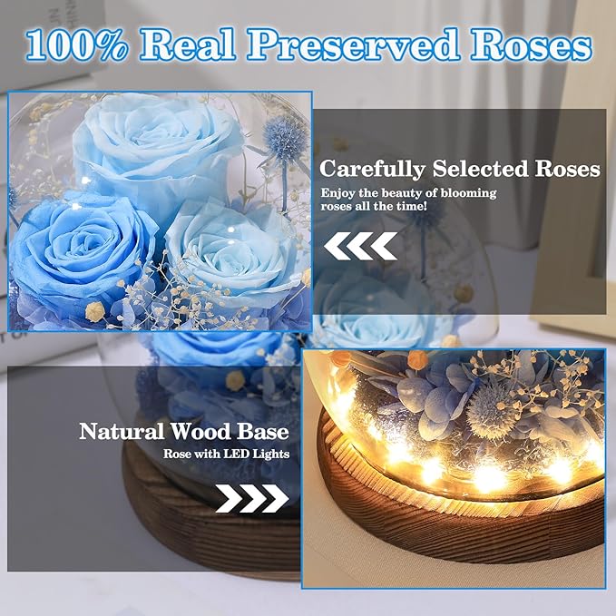 FIACO Valentines Gifts for Her Preserved Flowers in Glass Dome Long-Lasting Eternal Roses Birthday Gifts for Women Mom Grandma Wife Girlfriend Blue Forever Flowers for Delivery Prime