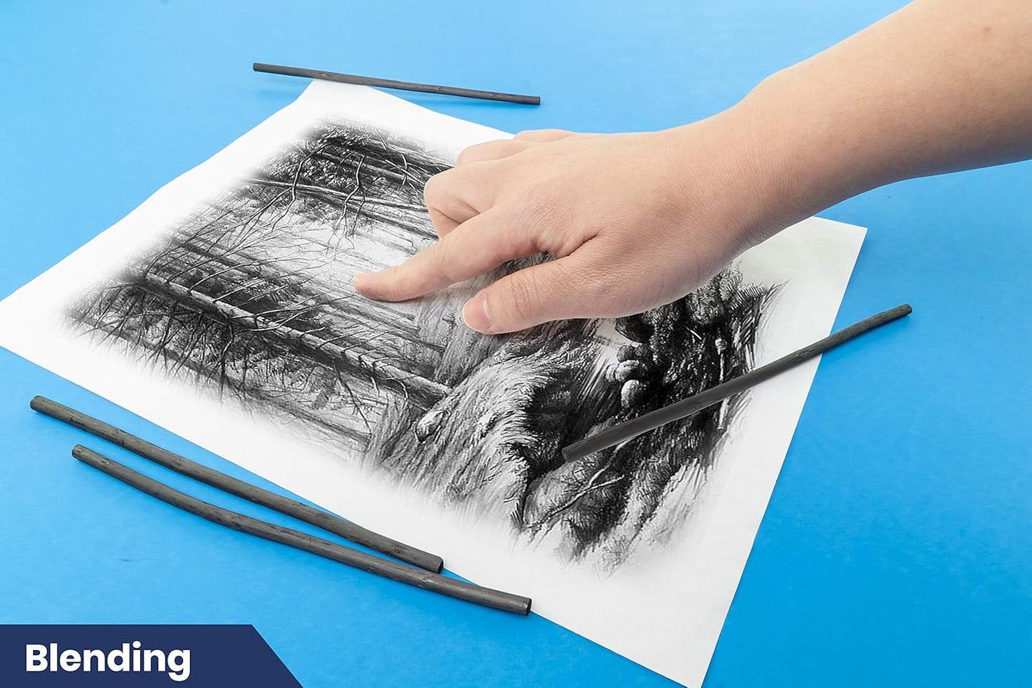 Pacific Arc 2 Pack Artist Vine Charcoal, Soft, Black 4 Charcoal Sticks for Drawing, Sketching, and Fine Art