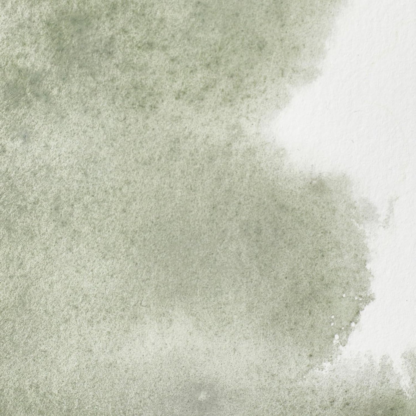 Winsor & Newton Professional Water Colour Paint, Half Pan, Davy's Gray