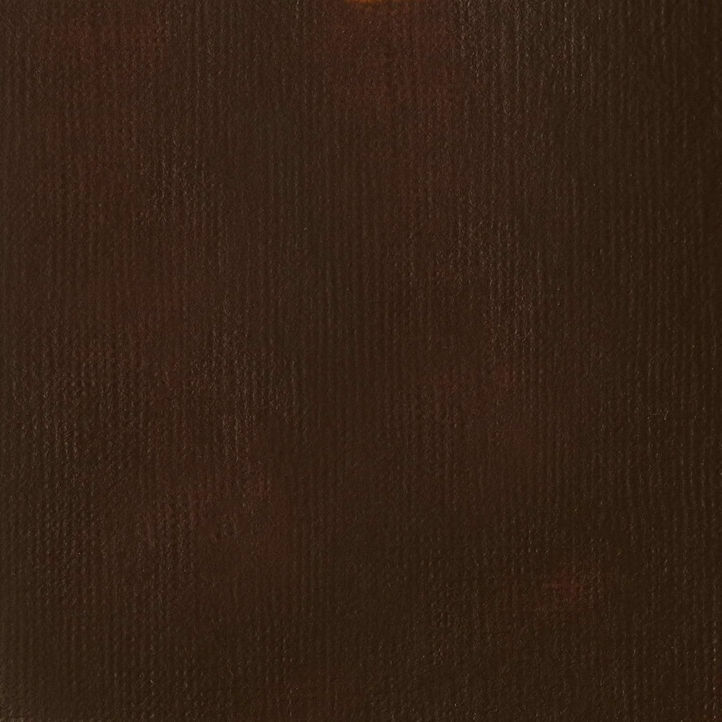 Liquitex BASICS Acrylic Paint, 250ml (8.5-oz) Tube, Burnt Umber