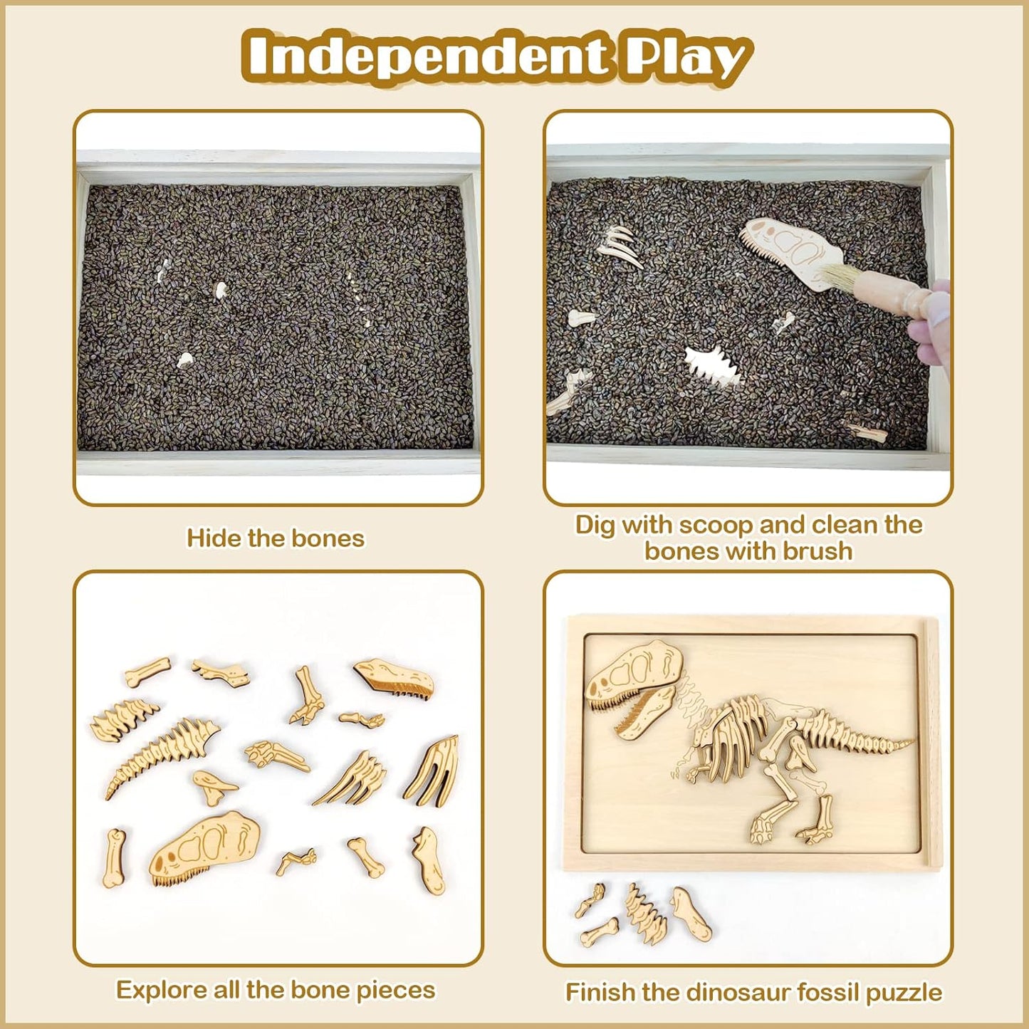 Xylolin Dinosaur Excavation Archaeology Dig Kit for Kids, Fossil Explore Sensory Bin Toys, Dino Skeletons Bones Puzzle Game, Archaeology Science STEM Toys for Boys and Girls (Tyrannosaurus)