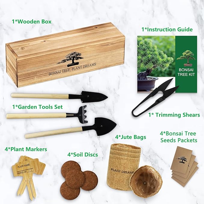 Bonsai Tree Starter Kit for Beginners - Indoor Live Plant Gardening Adult Craft DIY Kits - Unique Christmas, Birthday, White Elephant Gifts for Women, Men & Kids