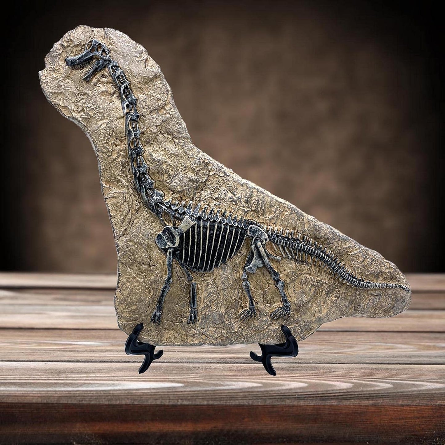 XINDAM Resin Brachiosaurus Dinosaur Fossil Statue Model Simulated Skeleton Home Office Display Decorative Craft Box Decoration (Style 7)