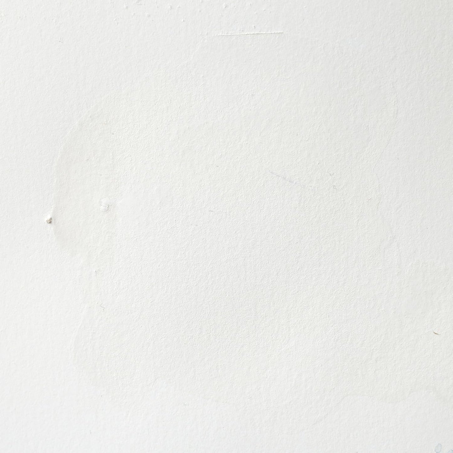 Winsor & Newton Professional Water Colour Paint, Half Pan, Titanium White