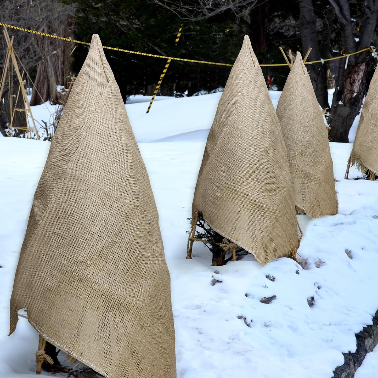 Garden Burlap Roll, 60" x 50 Feet Natural Jute Burlap Fabric Roll for Gardening Raised Bed Liners,Seed Cover,Edging,Weed Barrier,Aisle Runner Plant Cover Tree Protections (60" x 50 Feet)