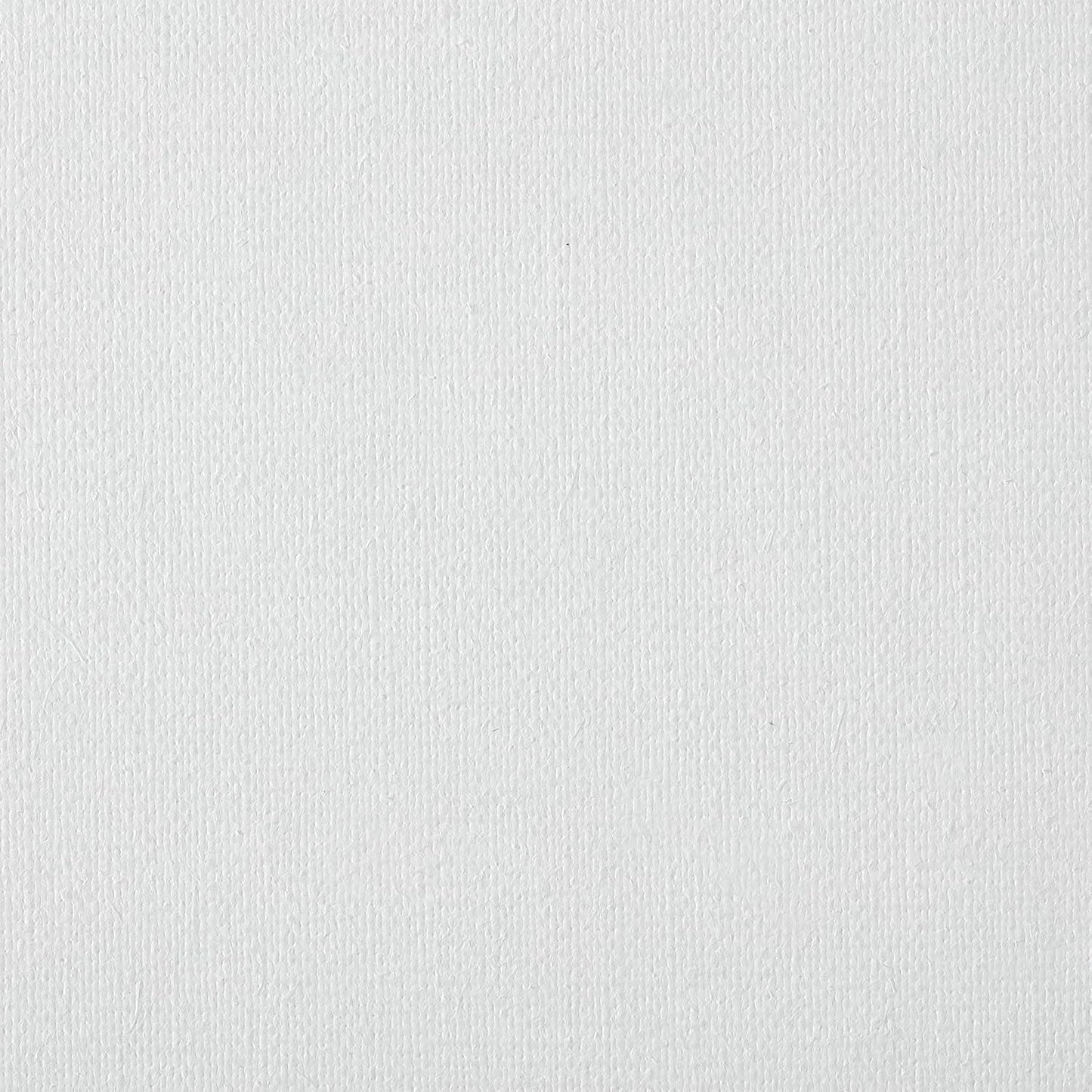 Centurion Deluxe Professional Oil Primed Linen Stretched Canvas, 11oz Linen, 30x40 - Box of 6, 0.67" Deep Canvases, Kiln-Dried Stretchers, Back Stapled, Premium Medium Weight Canvas for Oil Paintings