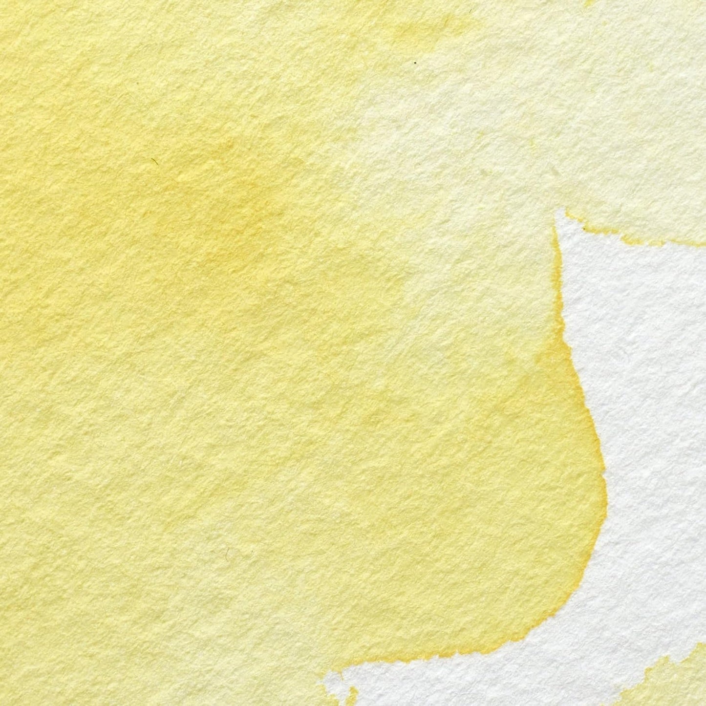 Winsor & Newton Professional Water Colour Paint, Half Pan, Winsor Yellow