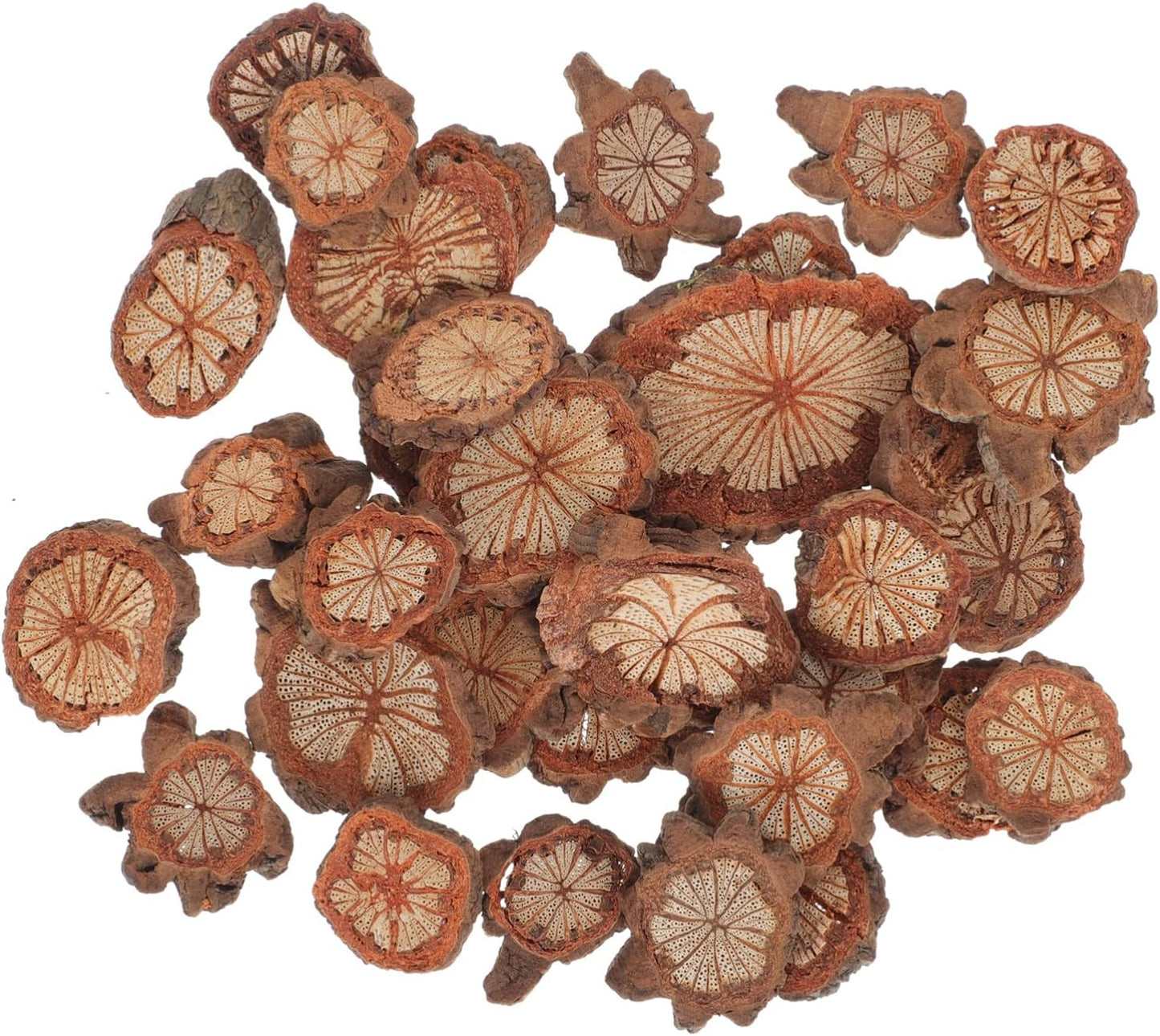 GALPADA Christmas Tree Bark Wood Slices Xmas Ornaments Mini Natural Vintage Round Log Discs for Arts & Crafts Home DIY Table Decoration