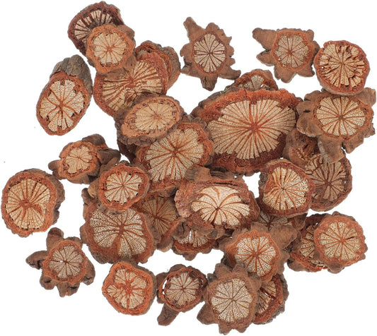 GALPADA Christmas Tree Bark Wood Slices Xmas Ornaments Mini Natural Vintage Round Log Discs for Arts & Crafts Home DIY Table Decoration