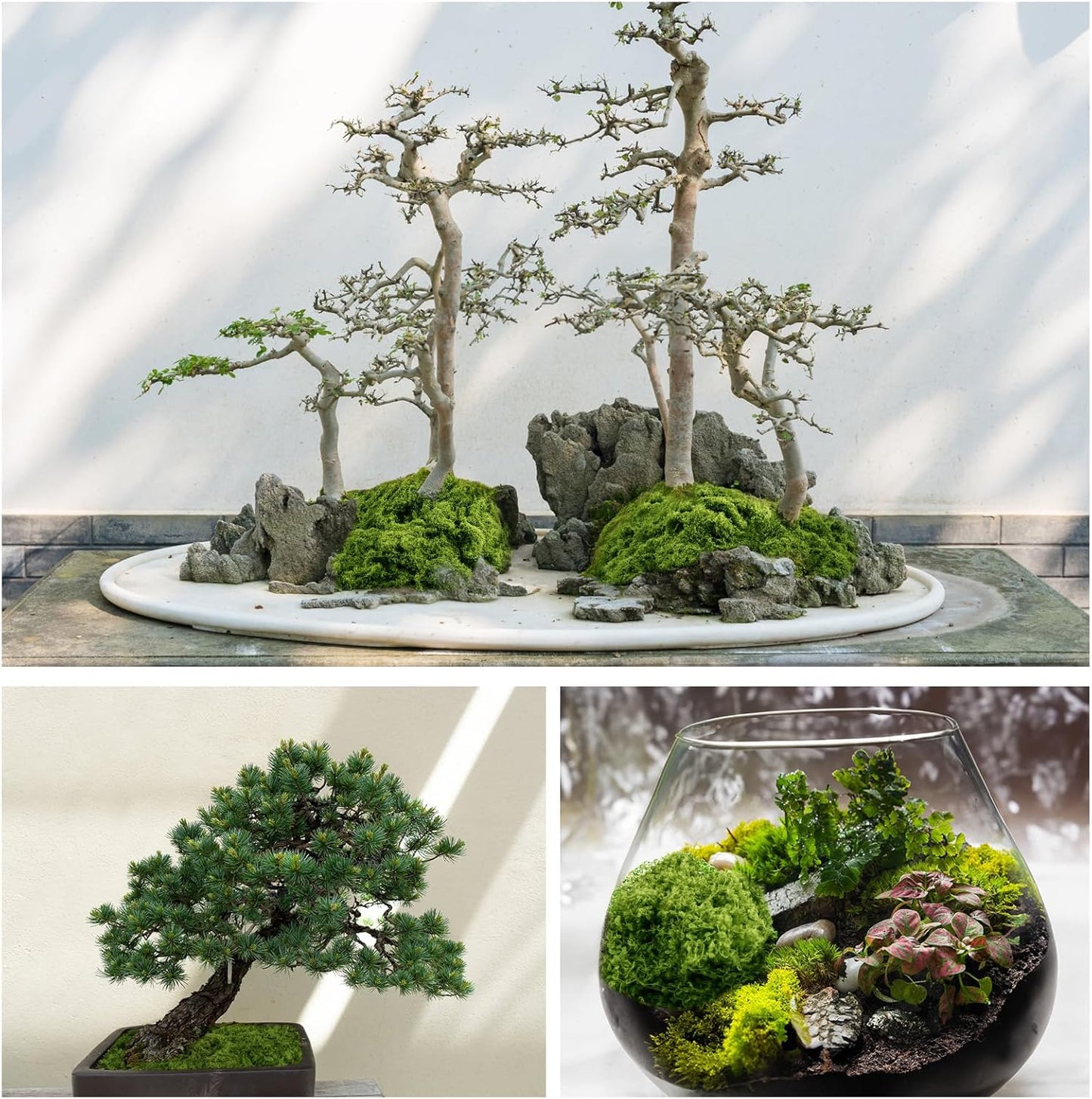 Fake Green Moss for Potted Plants, 10.6OZ Moss Decor Artificial Faux Moss for Crafts Preserved Moss for DIY Decorative Moss Table Centerpieces Decor Fairy Garden Floral Wedding (300g) (Dark Green)