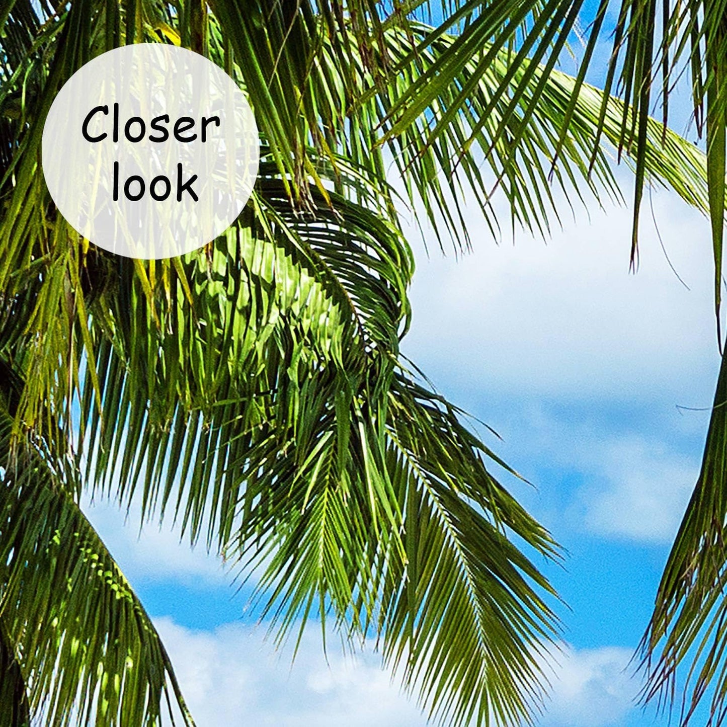 AFZEVEB-Beach Wall Mural Tropical Palm Tree Landscape Wallpaper for Bedroom 136"x96"(Not Peel and Stick)