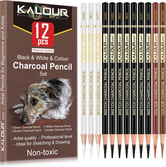 KALOUR Pro Colored Charcoal Drawing Set,12 Pieces Pastel Chalk Pencils for Sketching, Shading, Blending, Portrait, Black White Charcoal for Beginners & Artists