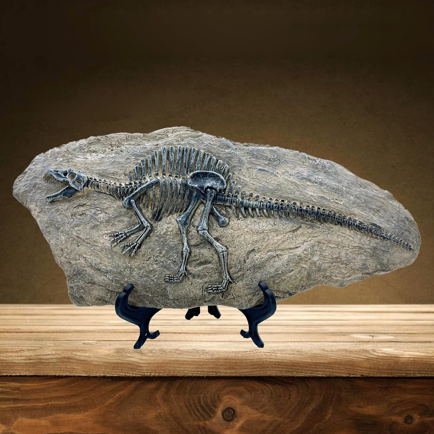 XINDAM Resin Spinosaurus Dinosaur Fossil Statue Model Simulated Skeleton Home Office Display Decorative Craft Box Decoration (Style 8)