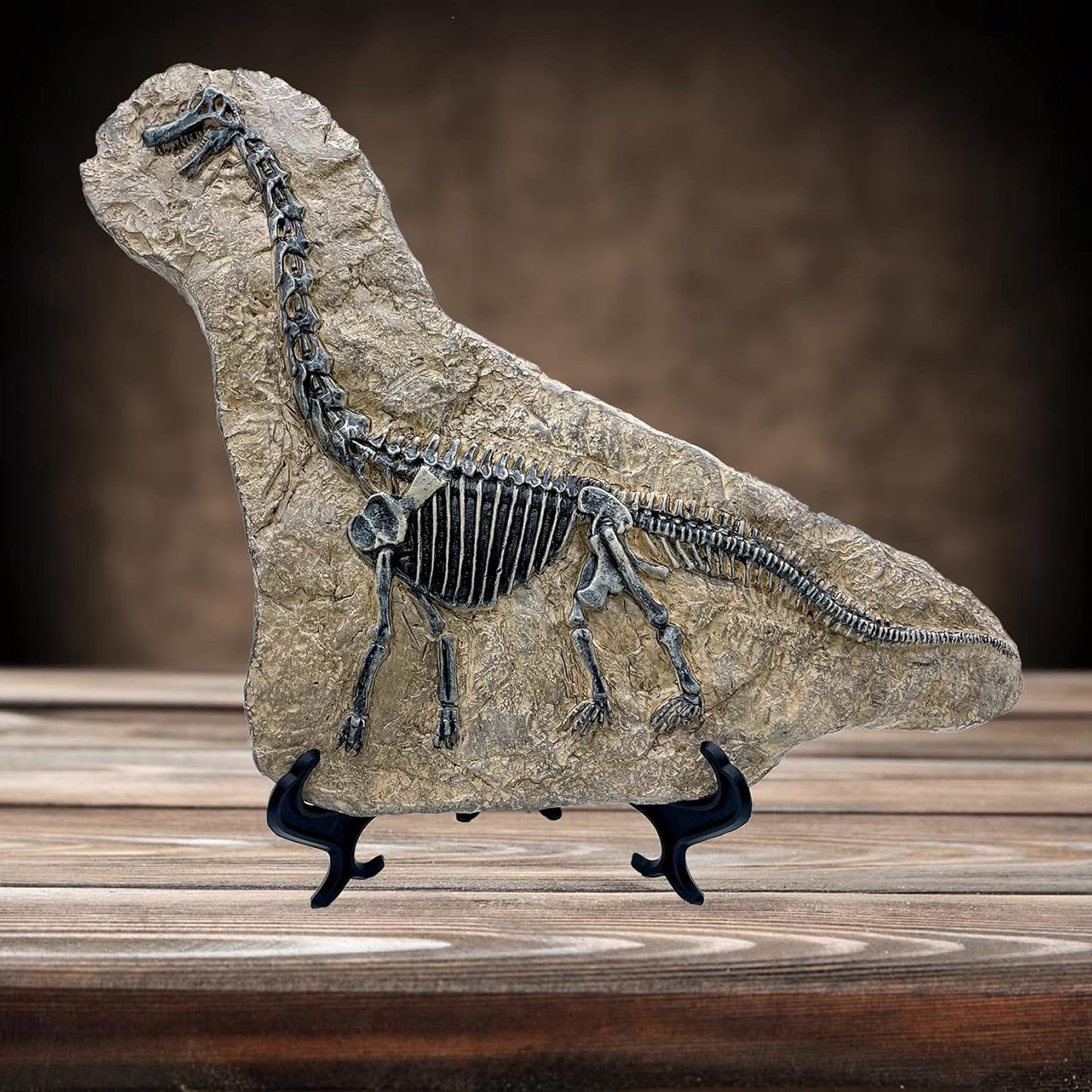 XINDAM Resin Brachiosaurus Dinosaur Fossil Statue Model Simulated Skeleton Home Office Display Decorative Craft Box Decoration (Style 7)
