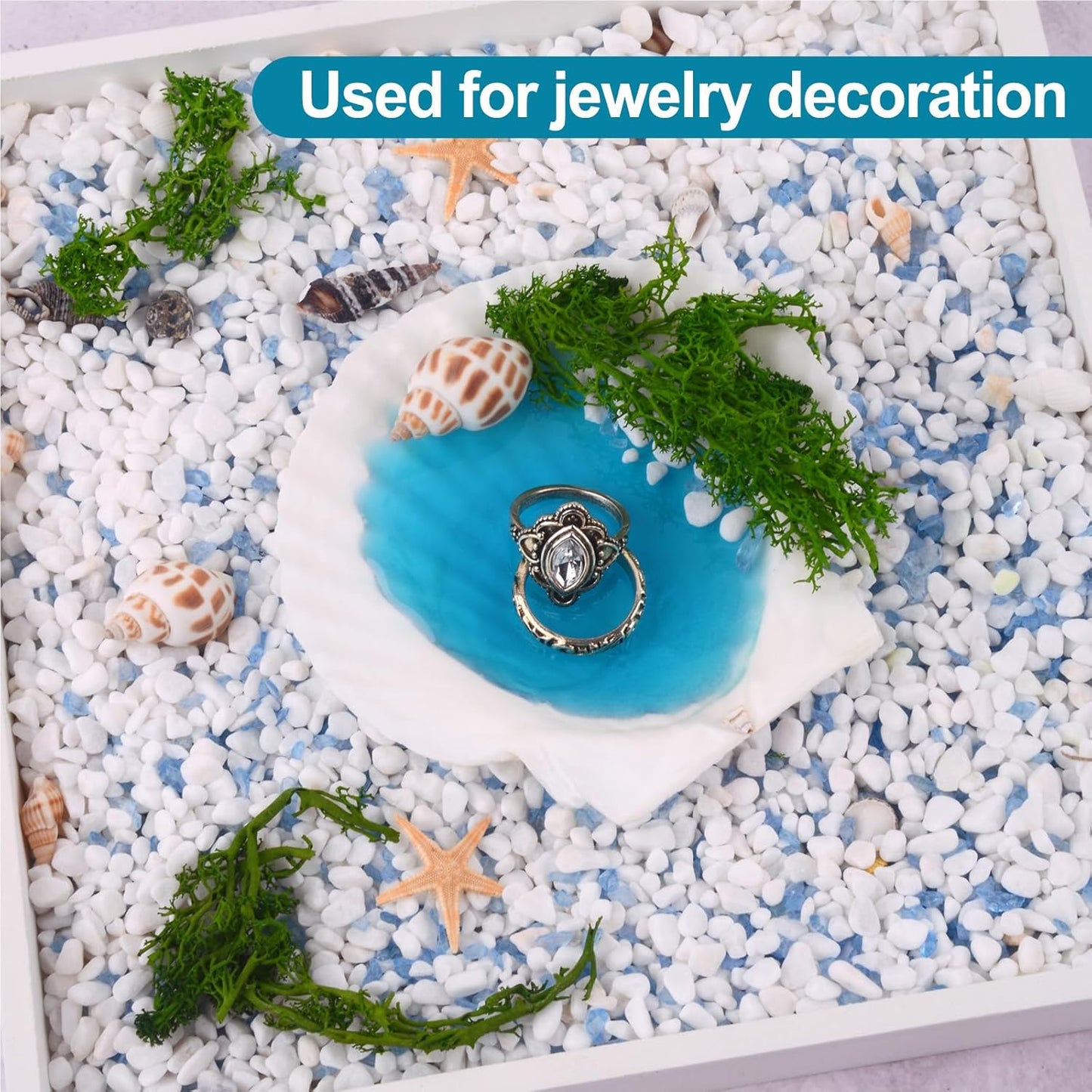 20PCS Natural Scallop Shells for Crafts & Baking - 6 Large (4-5in) & 14 Medium (2-3in) Seashells - DIY Painting, Beach Wedding Decor, Resin Art, Coastal Home Decoration, Party Centerpieces