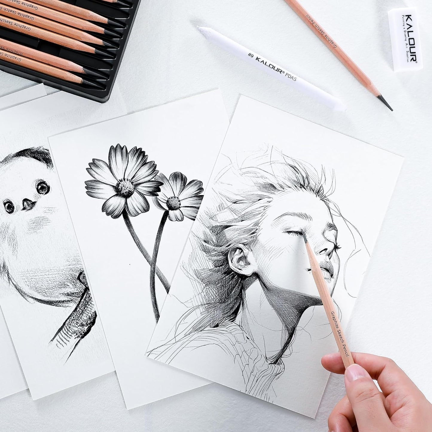 KALOUR 29 Pro Sketching Drawing Pencils Set with Roll-Up Nylon Case – 14 Graphite Pencils (14B–5H), Charcoal Pencils, Erasers, Sharpener & Stumps – Complete Art Kit for Artists & Beginner