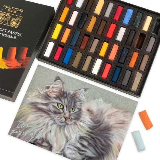 Paul Rubens Professional Soft Pastels, 40 Portrait Colors Chalk Pastels Vibrant Smooth and High Adhesion for Painting, Drawing, Blending, Crafting, Ideal Art Supplies for Artists, Beginners