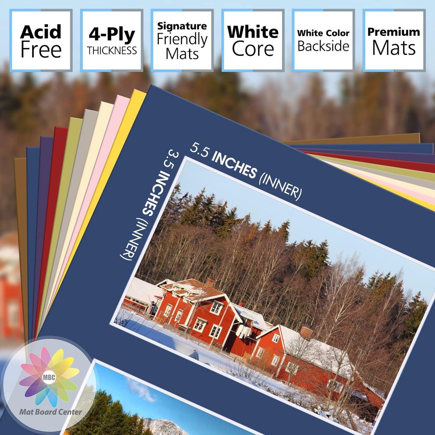 Mat Board Center, Pack of 10, Photo Picture Mats - Acid Free, 4-ply Thickness, White Core - for Pictures, Photos, Framing (8x10 for 2-4x6 Mixed Color)
