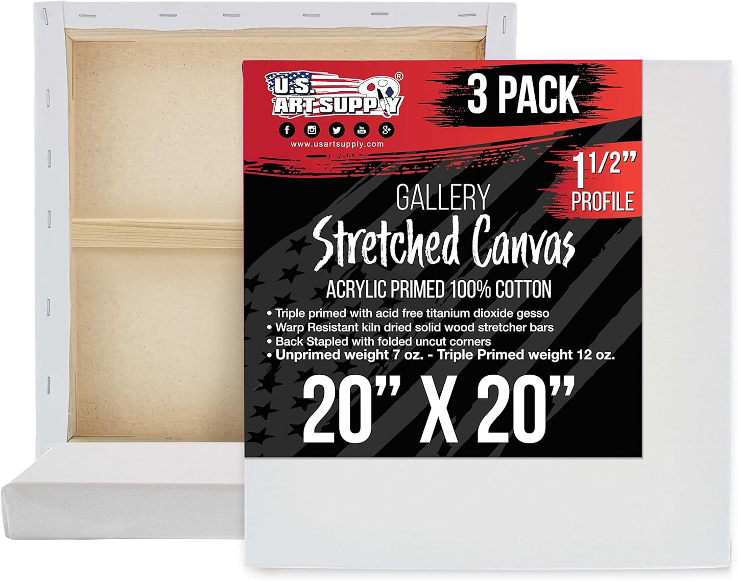 U.S. Art Supply Large Stretched Canvas for Painting 20x20 inch Gallery Depth 1-1/2" Thick, 3-Pack - 12oz Acrylic Gesso Triple Primed, Professional Artist Quality, 100% Cotton - Oil, Pouring Paint