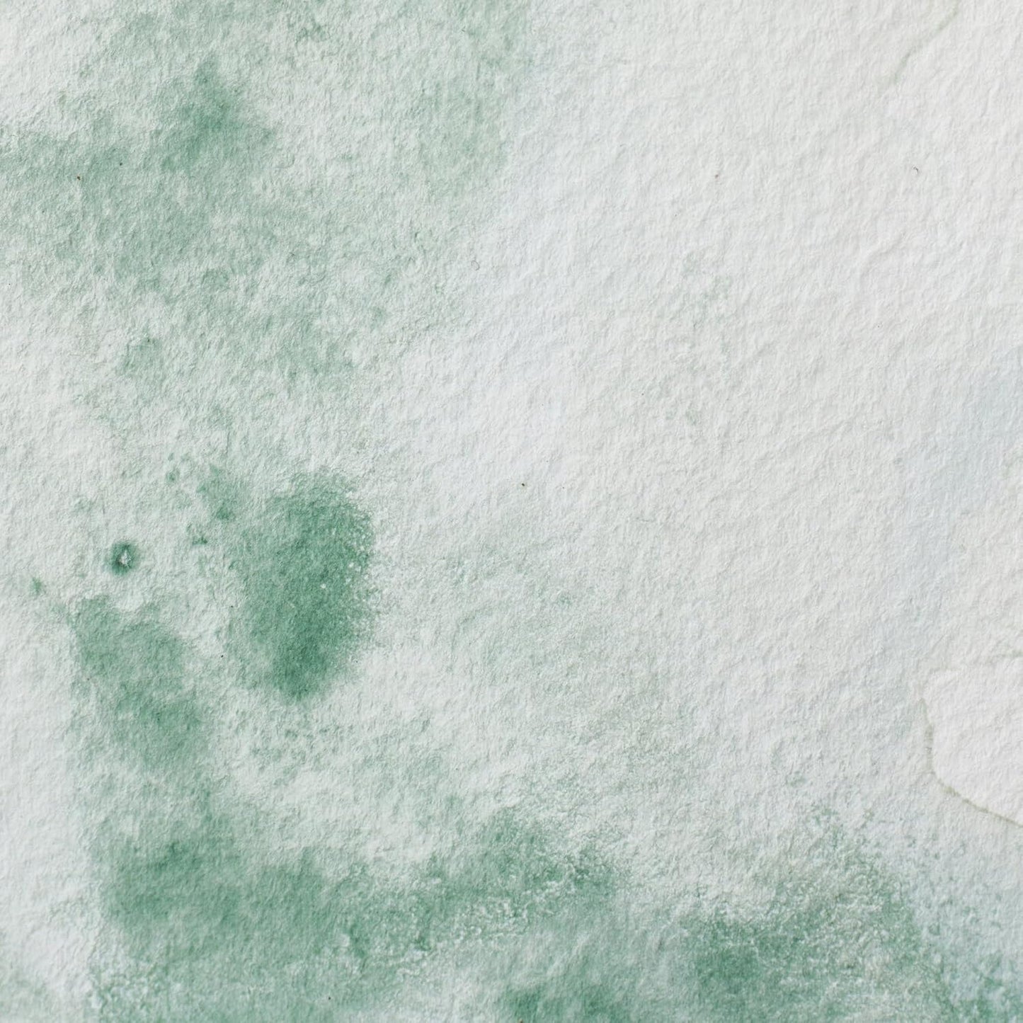 Winsor & Newton Professional Watercolor, 14ml (0.47-oz) Tube, Terre Verte