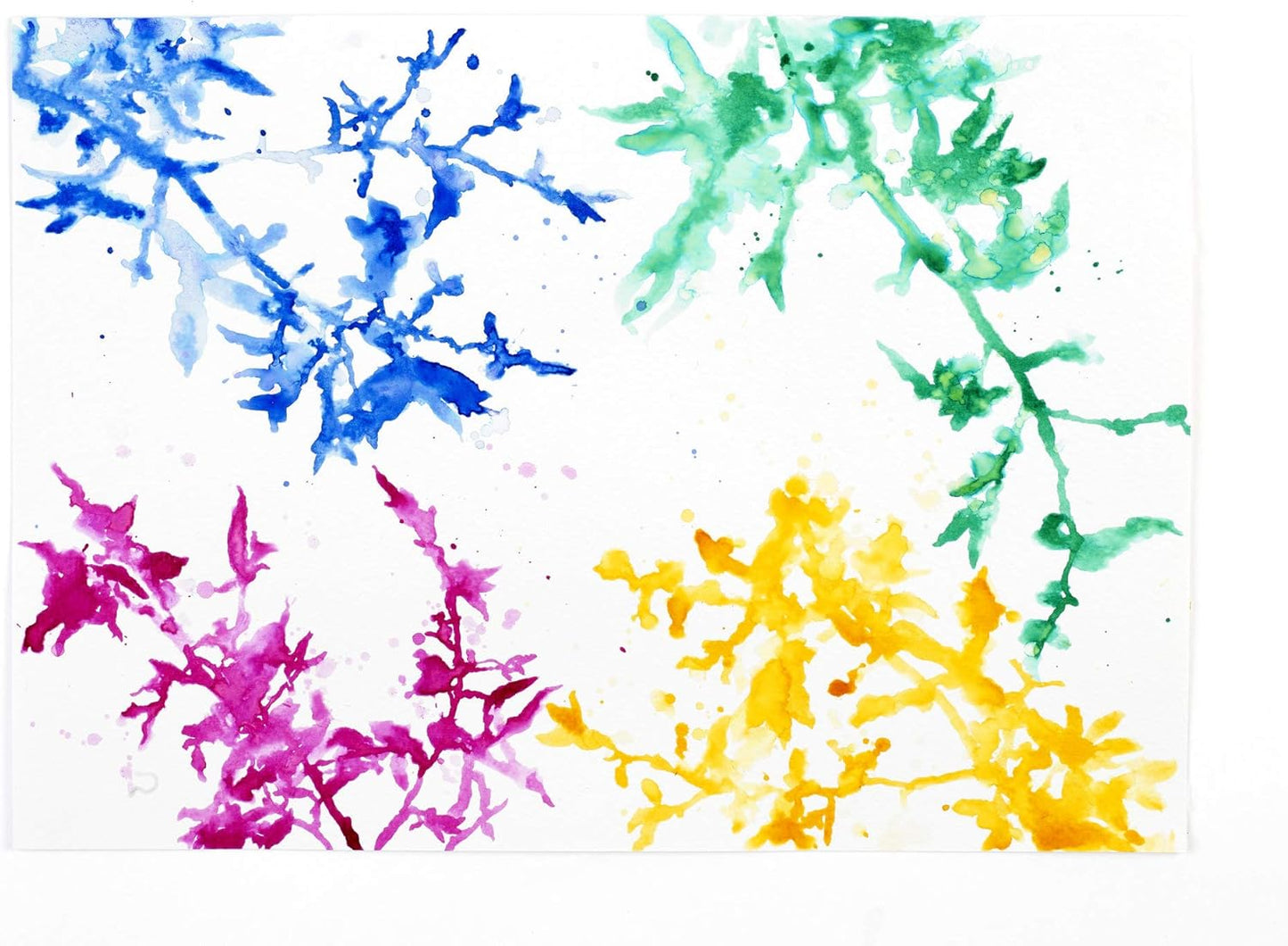 Winsor & Newton Collection Drawing Ink Set, Set of 4, Rich Tones