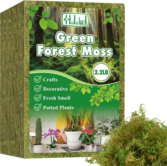 Halatool 2.2LBS Forest Green Moss for Indoor Potted Plants, Orchid Potting Mix, Indoor Potting Plant Moss for Repotting Terrariums Garden Reptiles