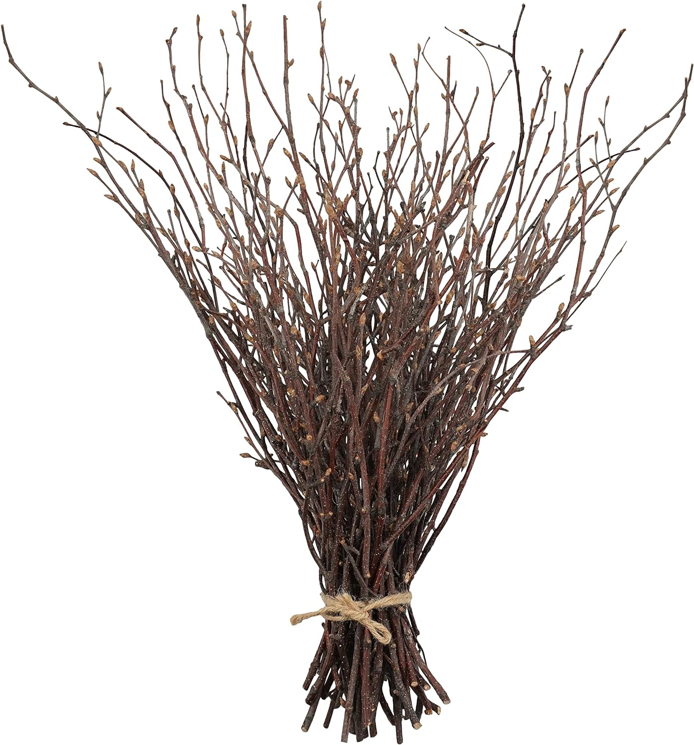 Uieke 50PCS Birch Twigs – 17 Inch Natural Dried Plants Decorative Birch Branches for DIY Crafts, Birch Sticks for Vases Wedding Arrangements Home Wreath Decor