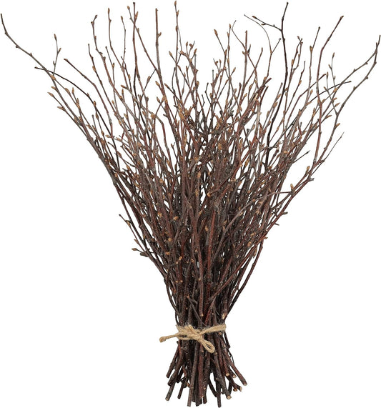 Uieke 50PCS Birch Twigs – 17 Inch Natural Dried Plants Decorative Birch Branches for DIY Crafts, Birch Sticks for Vases Wedding Arrangements Home Wreath Decor