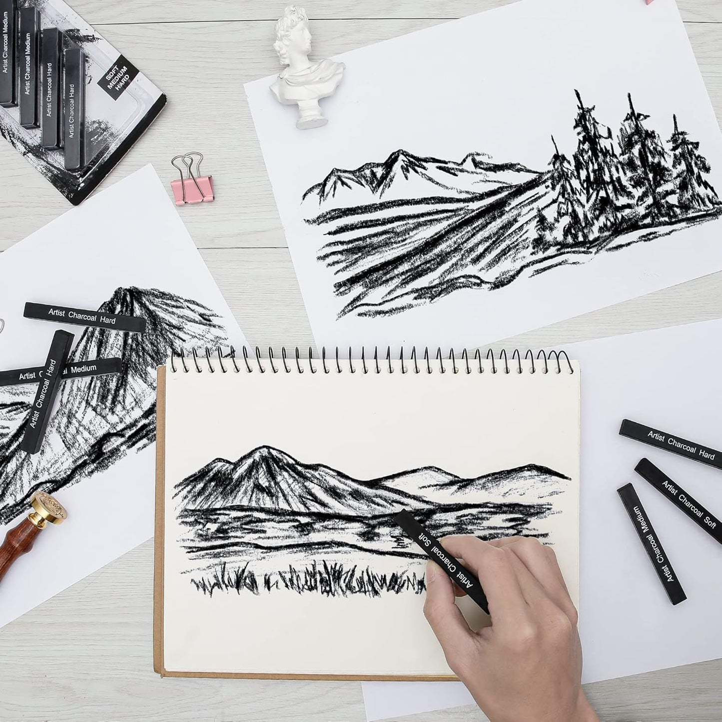 12 Pack Compressed Charcoal Sticks, Vine Charcoal Stick for Drawing, Sketching, Shading, Art Supplies Sketch Kits Tools Soft, Medium and Hard Grade