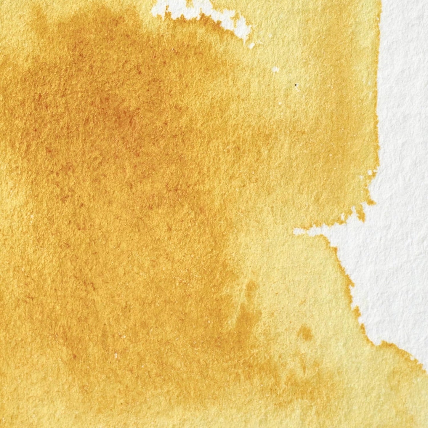 Winsor & Newton Professional Watercolor, Half Pan, New Gamboge