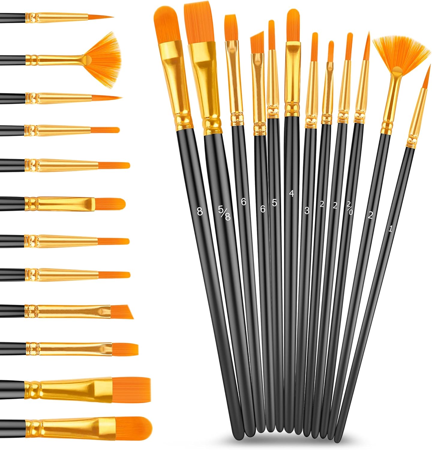 Caliart Black Acrylic Paint with 12 Brushes, 24 Art Craft Paints (59ml, 2oz) Gifts Trendy Stuff for Adults Artists, Canvas Ceramic Rock Eggs Painting Kit Art Supplies