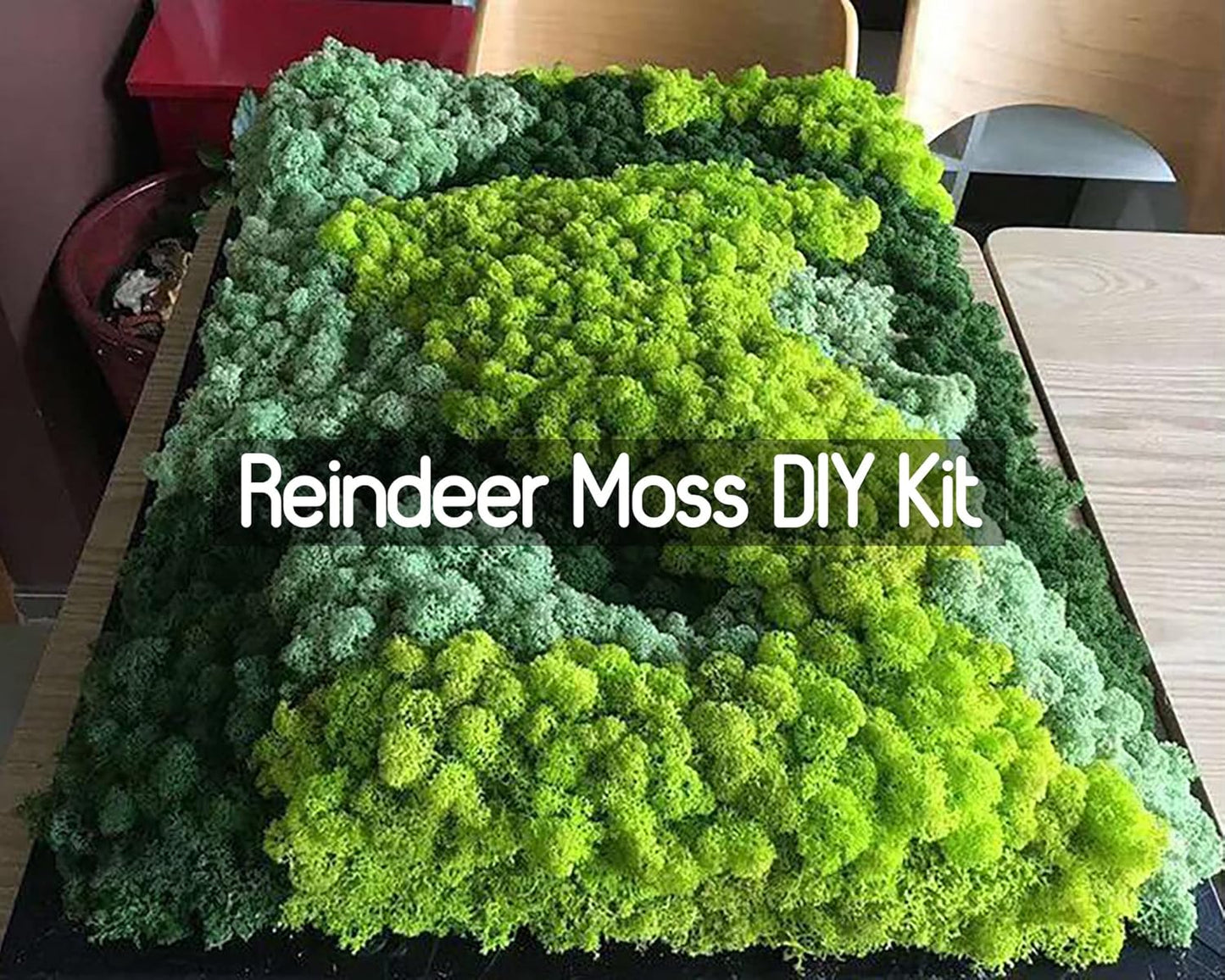 Preserved Reindeer Moss Natural Green DIY Kit Gardenning Art Wall Decor Florist Decor Easter Table Decor Wedding