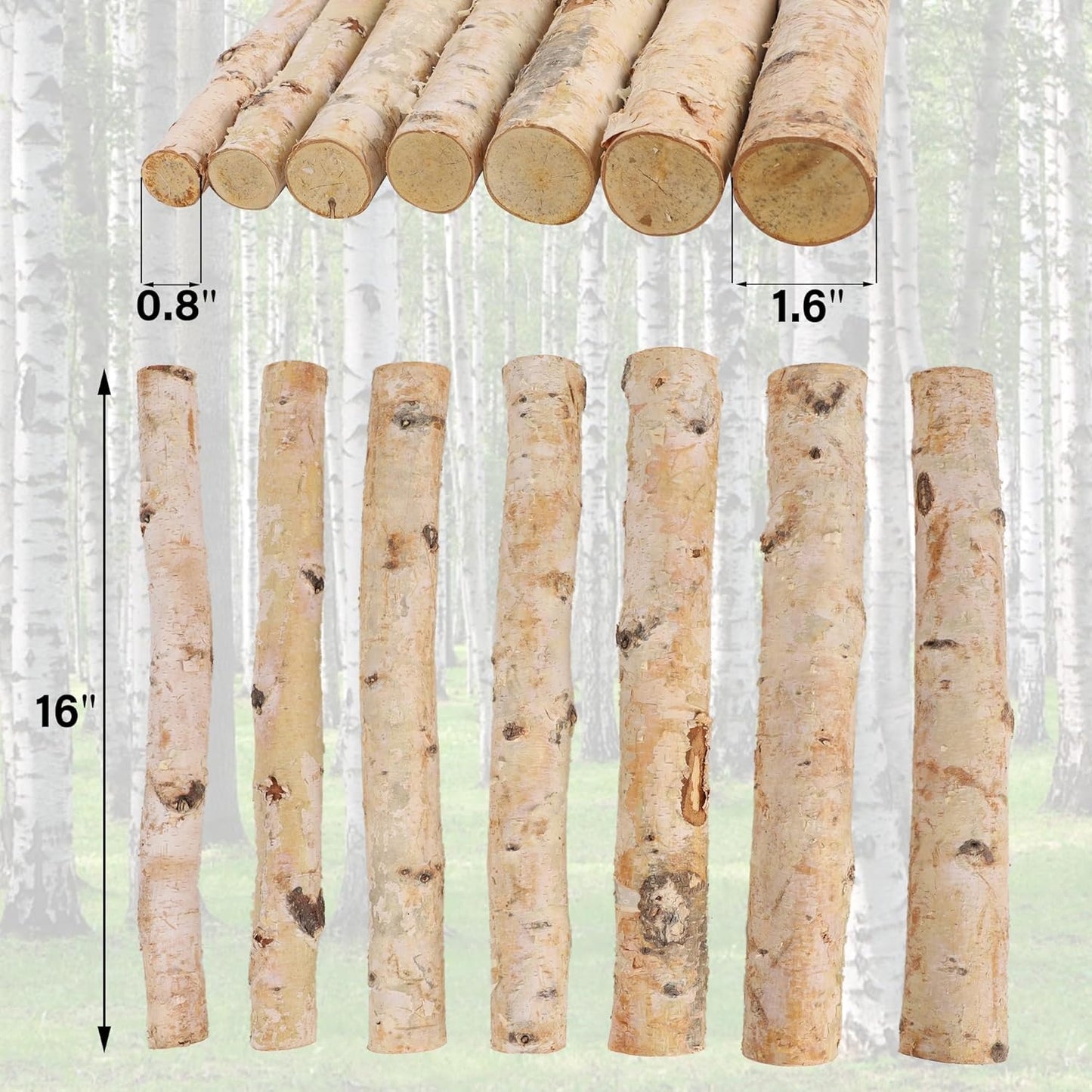 12-Pack White Birch Logs for Fireplace - Natural Decorative Birch Branches for Mantel, Fake Fireplace, Indoor Decor, DIY Crafts, and Planter Decoration (0.8"-1.6" Dia. x 16" Long)